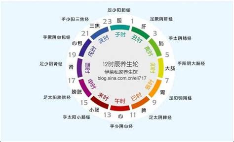 中醫時辰表|一張圖看十二經絡養生時間表，依循作息養生事半功。